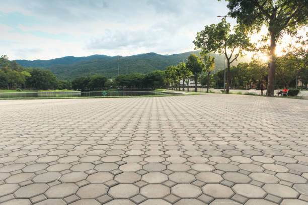 Best Residential Driveway Paver Services  in Dunlap, TN