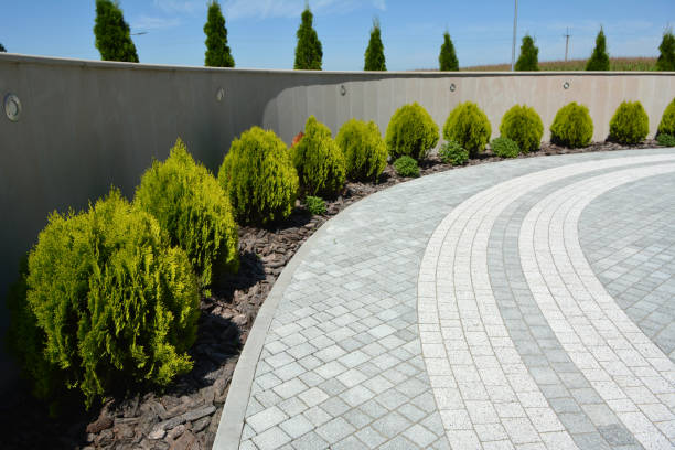 Best Driveway Paving Company  in Dunlap, TN
